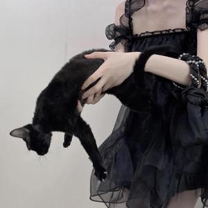 我已经到了幻想尽头