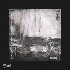 Sentient Shadows (Radio Edit)