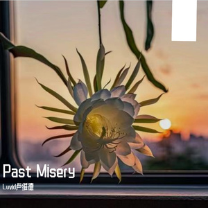 Past Misery