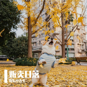 爵士鼓韵中的咖啡馆高效之境