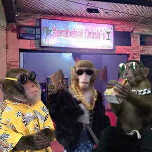 XEREBEBEL & BINHO TED