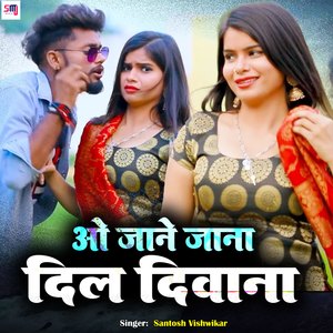 O Jaane Jaana Dil Deewana