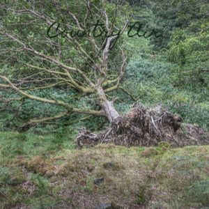 Jerome Is Out On the Street Again