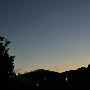 关于孤独我想说的话