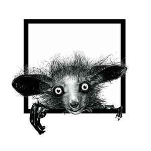 Fructifero (Original Mix)