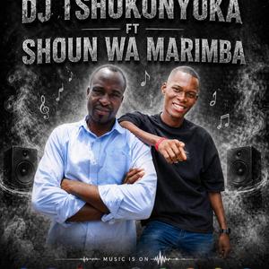 Dj Tshukunyuka Kuva Na Nsati (feat. shoun wa marimba)