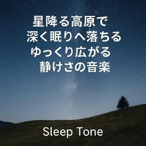 夜空の深みに吸い込まれる瞬き