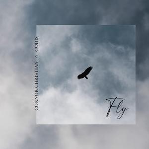Fly
