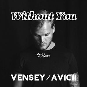 Avicii-Without you（文希Vensey remix）