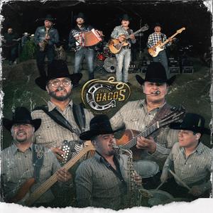 Popurri De Polkas (Live)