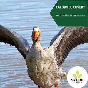 Watching The Hills Burning