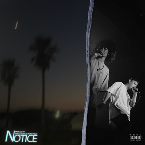 Notice