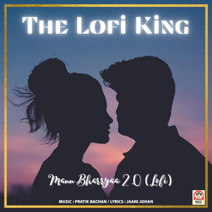 Mann Bharryaa 2.0 (Lofi Version)