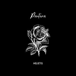 Pantera