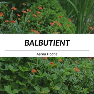 Balbutient