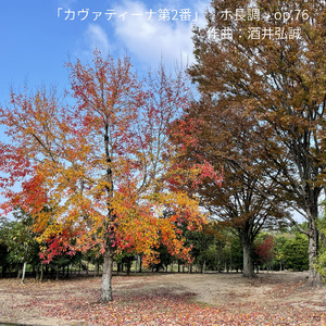 カヴァティーナ第２番 ホ長調 op.76