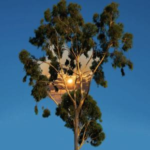 杀死差不多先生