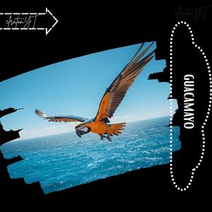 guacamayo