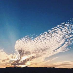 96-Music-Melody（DjSeKay remix）