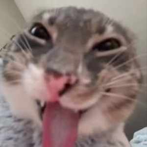 JumpOutTheHouse (slowed)