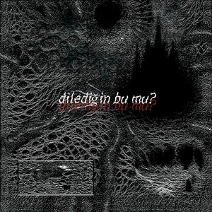 DİLEDİĞİN BU MU?