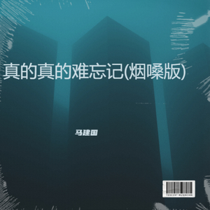 真的真的难忘记(烟嗓版)