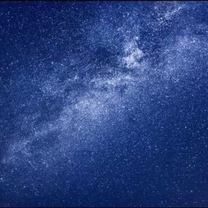 金色田野的欢歌