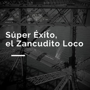 Súper Éxito, el Zancudito Loco (En Vivo)
