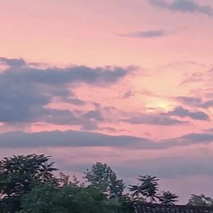 沉沦与遐想+花太阳雨和你