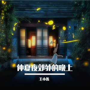 仲夏郊外的夜晚