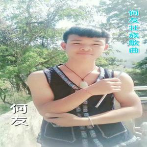 我来自壮乡（翻自 陆正信）