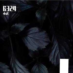 人质(cover)