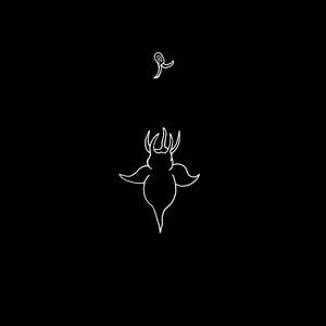 Mariposa de Mar
