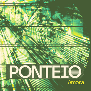 Amora