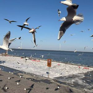 《雨夜旧风景》