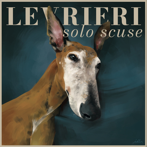 Solo Scuse