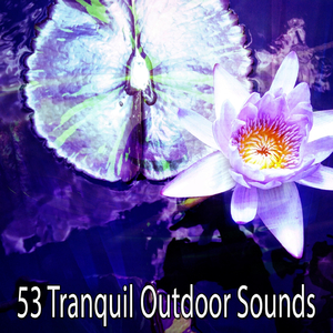 Soaring High With Hope