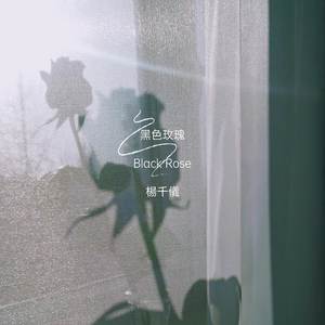 黑色玫瑰 (纯音乐)