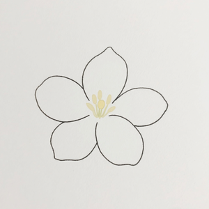 像风一样（钢琴片段）