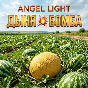 Дыня Бомба