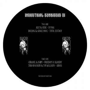 Total Ecstasy (Original Mix)