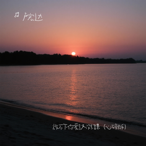 放不下你爱了又没结果