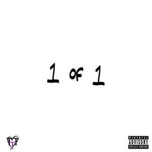 1 of 1