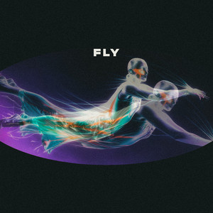 Fly