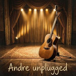 Blaze of Glory (Unplugged)