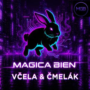 Včela & čmelák
