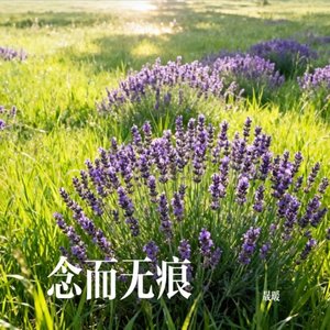 念而无痕
