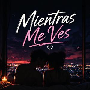mientras me ves