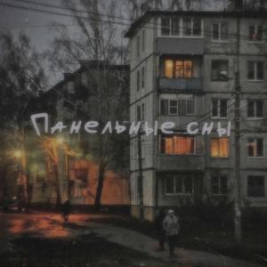 Панельные сны