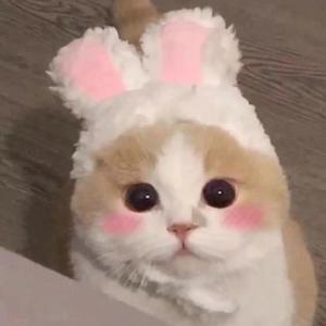 海盗船长2.0